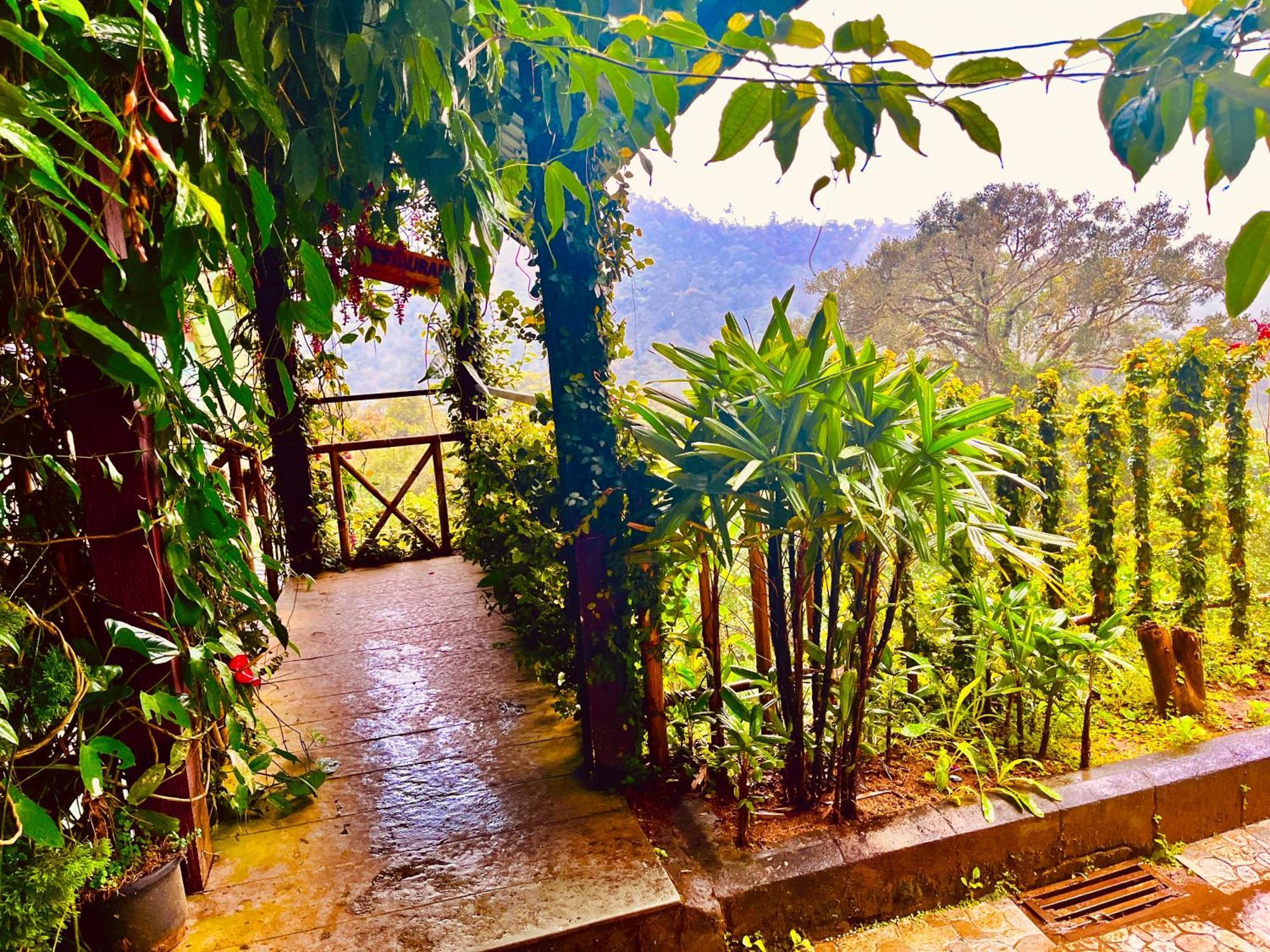 Munnar Tea Estate Cottage And Resort - Away From City Hustle Eksteriør billede